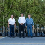Plantarán 200 árboles en el municipio